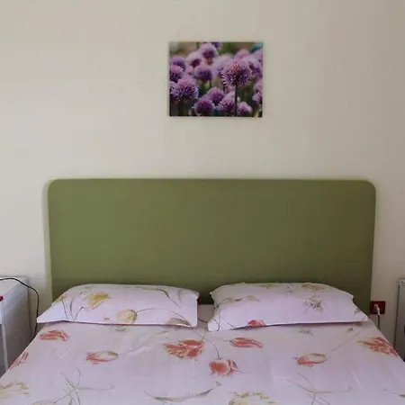 Trilo Apartment *